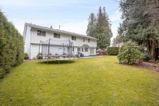 Photo 33: 19890 41 Avenue in Langley: Brookswood Langley House for sale : MLS®# R2537618