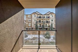 Photo 16: 2214 4641 128 Avenue NE in Calgary: Skyview Ranch Apartment for sale : MLS®# A2120636