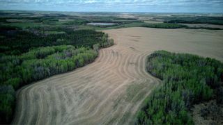 Photo 25: SE-4-59-6-W5 590 Township: Rural Lac Ste. Anne County Agriculture for sale : MLS®# A2103985