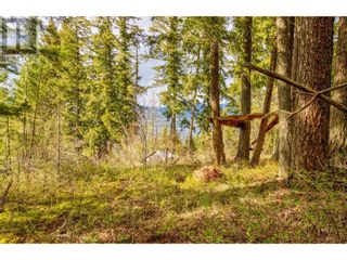 Photo 10: 2221 Lakeview Drive in Blind Bay: Vacant Land for sale : MLS®# 10310892