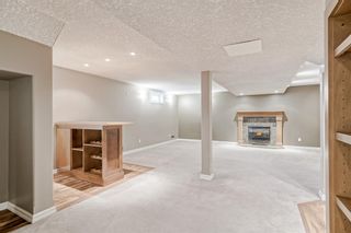 Photo 23: 4908 Nelson Road NW in Calgary: North Haven Detached for sale : MLS®# A2040949