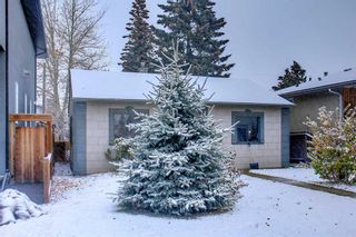 Photo 13: 426 22 Avenue NE in Calgary: Winston Heights/Mountview Detached for sale : MLS®# A2102584