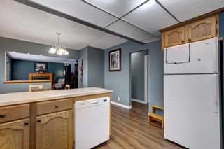 Photo 9: 2520 Southwood Drive SE in Calgary: Southview Detached for sale : MLS®# A2104154