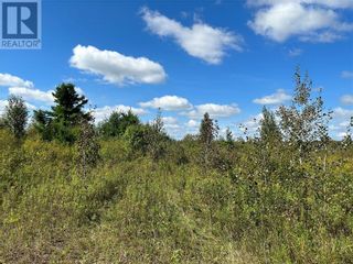 Photo 6: YULE ROAD in Merrickville: Vacant Land for sale : MLS®# 1360409