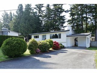 Photo 19: 34304 REDWOOD Avenue in Abbotsford: Central Abbotsford House for sale : MLS®# F1413819
