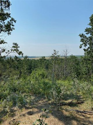 Photo 23: Range Road 23-1 in Rural Lacombe County: Vacant Land for sale : MLS®# A1133348
