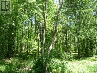 Photo 5: 00 OLD HIGHWAY 15 HIGHWAY in Lombardy: Vacant Land for sale : MLS®# 1333643