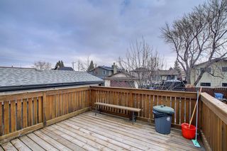 Photo 44: 33 Templeton Bay NE in Calgary: Temple Detached for sale : MLS®# A1199751