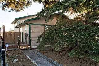 Photo 4: 1164 Penrith Crescent SE in Calgary: Penbrooke Meadows Detached for sale : MLS®# A1179712