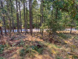 Photo 31: 2618 Lighthouse Lane in Pender Island: GI Pender Island House for sale (Gulf Islands)  : MLS®# 941462
