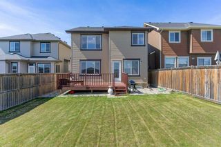 Photo 43: 57 Evansdale Landing NW in Calgary: Evanston Detached for sale : MLS®# A2129146