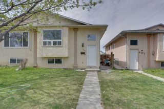 Main Photo: 401 Martindale Boulevard NE in Calgary: Martindale Semi Detached (Half Duplex) for sale : MLS®# A2131850