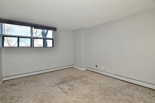 Photo 13: 233 30 Mchugh Court NE in Calgary: Mayland Heights Apartment for sale : MLS®# A2092709