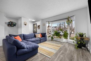 Photo 4: 74 Queen Anne Close SE in Calgary: Queensland Detached for sale : MLS®# A2121204