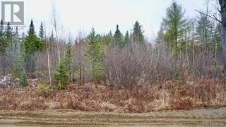 Photo 5: Lot #5 Route 740 in Heathland: Vacant Land for sale : MLS®# NB053418