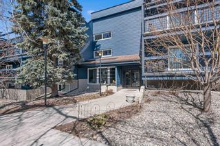 Photo 3: 405 234 5 Avenue NE in Calgary: Crescent Heights Apartment for sale : MLS®# A2122036
