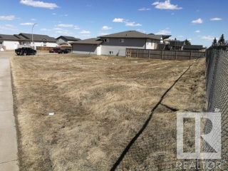 Photo 5: 29 Beaverhill View Crescent: Tofield Vacant Lot/Land for sale : MLS®# E4154117