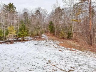 Photo 24: 2455 Loretta Avenue in Coldbrook: Kings County Residential for sale (Annapolis Valley)  : MLS®# 202302653