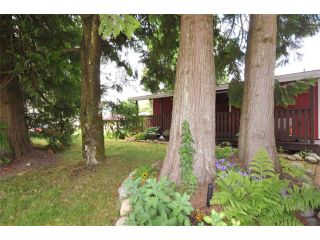 Photo 13: 11808 HAWTHORNE ST in Maple Ridge: Cottonwood MR House for sale : MLS®# V1065265