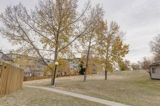 Photo 25: 701 1540 29 Street NW in Calgary: St Andrews Heights Apartment for sale : MLS®# A1178617