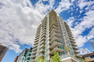 Photo 41: 202 530 12 Avenue SW in Calgary: Beltline Apartment for sale : MLS®# A1251210