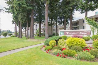 Photo 1: 804 31955 OLD YALE Road in Abbotsford: Abbotsford West Condo for sale in "EVERGREEN VILLAGE" : MLS®# R2090402