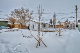 Photo 18: 2620 40 Street SE in Calgary: Forest Lawn Detached for sale : MLS®# A2030771