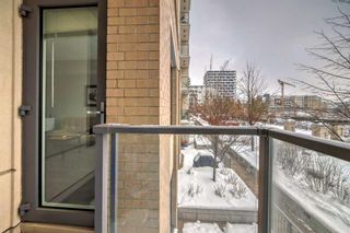 Photo 11: 320 38 9 Street NE in Calgary: Bridgeland/Riverside Apartment for sale : MLS®# A2128134
