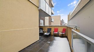Photo 23: 202 1110 3 Avenue NW in Calgary: Hillhurst Apartment for sale : MLS®# A2123874