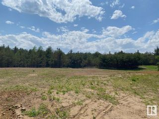 Photo 3: 61112 Hiway 855: Rural Smoky Lake County Vacant Lot/Land for sale : MLS®# E4341803