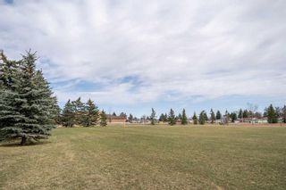 Photo 10: 2727 Dovely Park SE in Calgary: Dover Row/Townhouse for sale : MLS®# A2121739