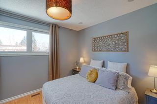 Photo 16: 1156 Penrith Crescent SE in Calgary: Penbrooke Meadows Detached for sale : MLS®# A1207956