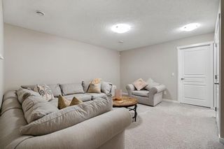 Photo 27: 208 Masters Avenue SE in Calgary: Mahogany Semi Detached (Half Duplex) for sale : MLS®# A2013274