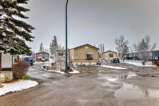 Photo 26: 268 Burroughs Circle NE in Calgary: Monterey Park Mobile for sale : MLS®# A2123327