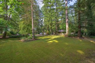 Photo 3: 2546 200 Street in Langley: Brookswood Langley House for sale : MLS®# R2793305