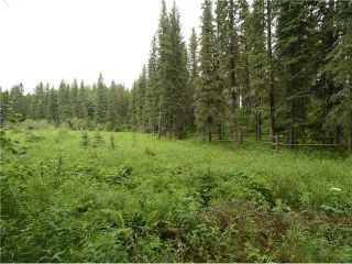 Photo 12: 231115 Forestry Way in Rural Rocky View County: Rural Rocky View MD Residential Land for sale : MLS®# A2056562