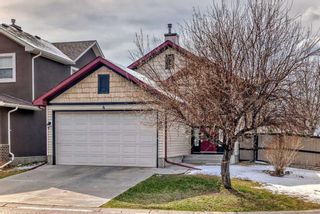 Main Photo: 4 MARTHA'S MEADOW Place NE in Calgary: Martindale Detached for sale : MLS®# A2124088