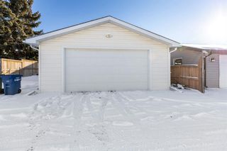 Photo 33: 101 Marquis Place SE: Airdrie Detached for sale : MLS®# A1189809