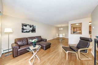 Photo 3: 219 33490 COTTAGE Lane in Abbotsford: Central Abbotsford Condo for sale : MLS®# R2746978