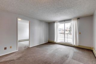 Photo 5: 110 280 Banister Drive: Okotoks Apartment for sale : MLS®# A2128088