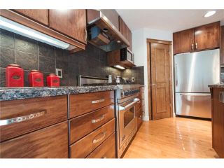 Photo 17: 84 CHAPALA Square SE in Calgary: Chaparral House for sale : MLS®# C4074127