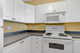 Photo 12: 315 1000 Citadel Meadow Point NW in Calgary: Citadel Apartment for sale : MLS®# A1221381
