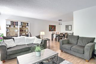 Photo 26: 14 Point Mckay Crescent NW in Calgary: Point McKay Row/Townhouse for sale : MLS®# A1130128