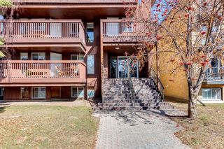 Photo 21: 302 534 20 Avenue SW in Calgary: Cliff Bungalow Apartment for sale : MLS®# A1210060