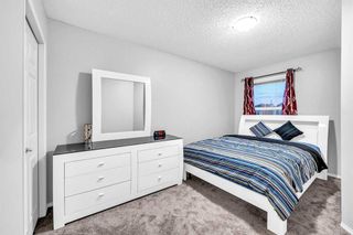 Photo 29: 114 Saddlecrest Crescent NE in Calgary: Saddle Ridge Detached for sale : MLS®# A2132215