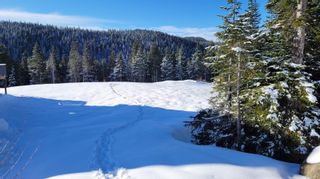 Photo 10: 445 Arrowsmith Ridge in Courtenay: CV Mt Washington Land for sale (Comox Valley)  : MLS®# 909711