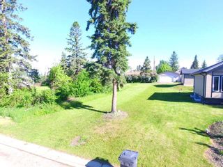 Photo 4: 2024 17 Avenue: Bowden Residential Land for sale : MLS®# A2071344