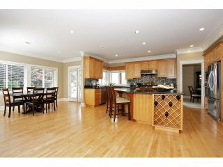 Photo 8: 2125 138A Street in Surrey: Elgin Chantrell House for sale (South Surrey White Rock)  : MLS®# F1320122