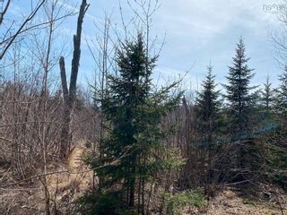 Photo 23: Lot 20 Lakeside Drive in Little Harbour: 108-Rural Pictou County Vacant Land for sale (Northern Region)  : MLS®# 202304930