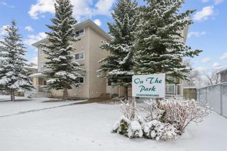 Photo 1: 301 4327 75 Street NW in Calgary: Bowness Apartment for sale : MLS®# A2124408